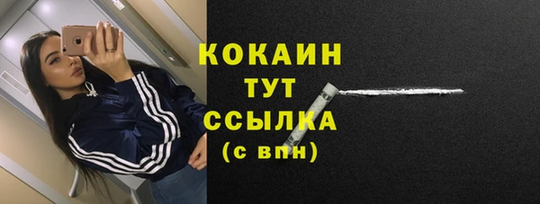 МДПВ Гусев