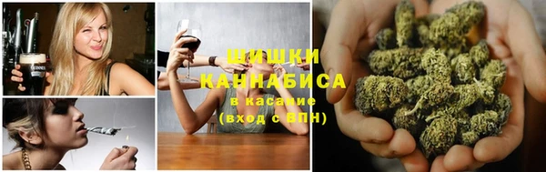 ГАЛЛЮЦИНОГЕННЫЕ ГРИБЫ Гусиноозёрск