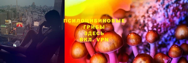ALPHA-PVP Горняк