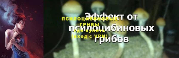 ешки Гусь-Хрустальный