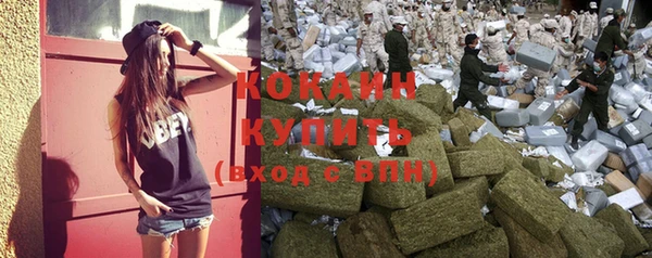 ГАЛЛЮЦИНОГЕННЫЕ ГРИБЫ Гусиноозёрск