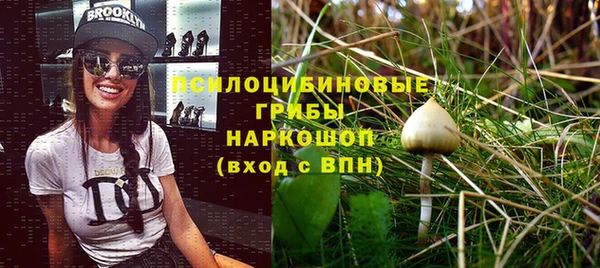 ALPHA-PVP Горняк